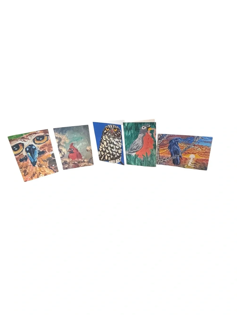 Birds of Wonder Greeting Card Set of 5 by Briefcase Artist